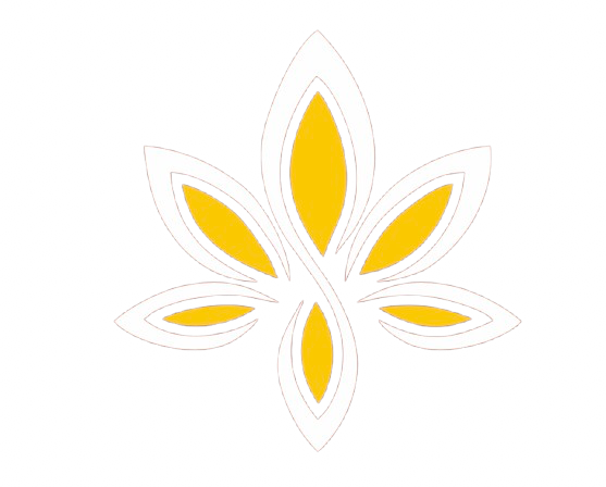 Vasundhara Palace logo
